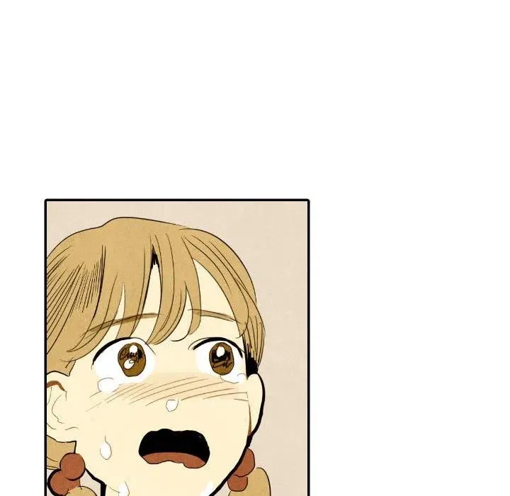 26 第115页