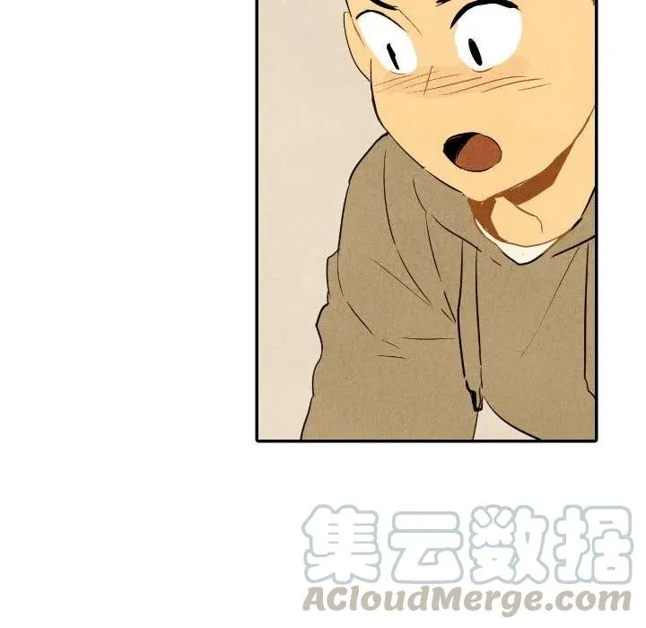 26 第117页