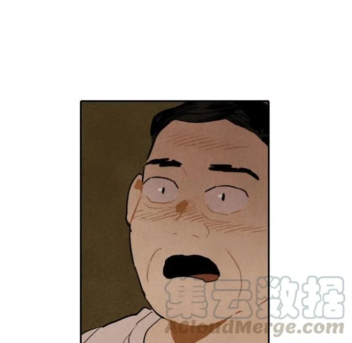 27 第113页