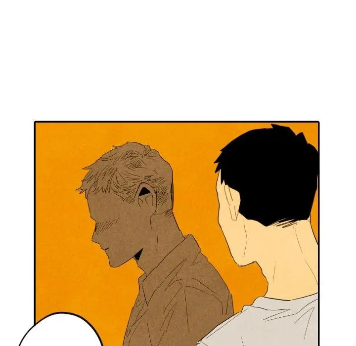 29 第48页