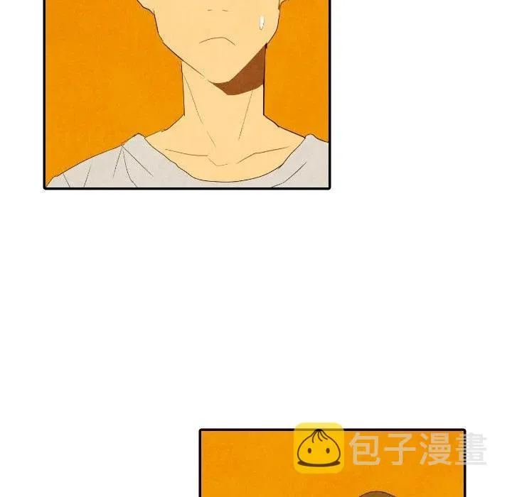 29 第51页