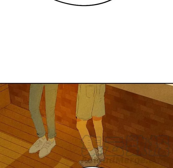 29 第53页
