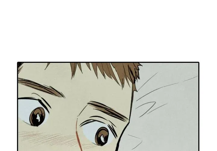 33 第4页