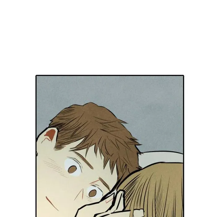 33 第8页