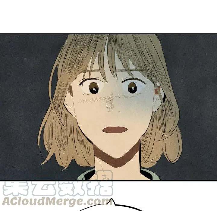 33 第17页