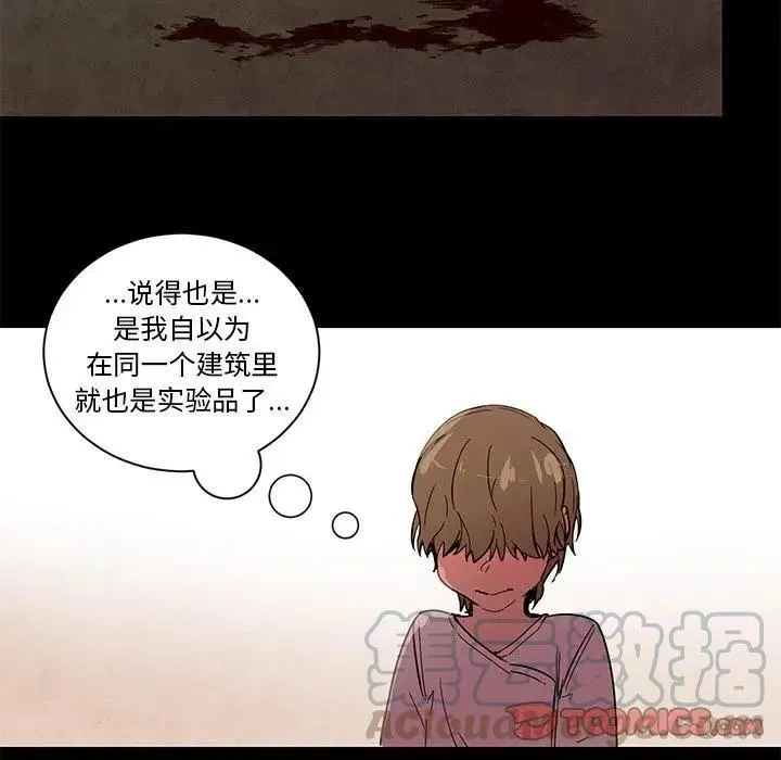 61 第29页