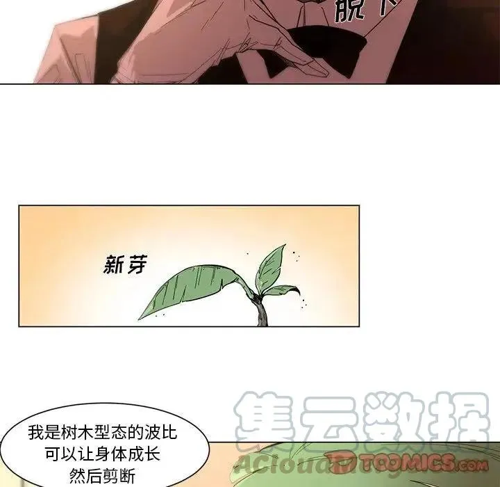 53 第19页
