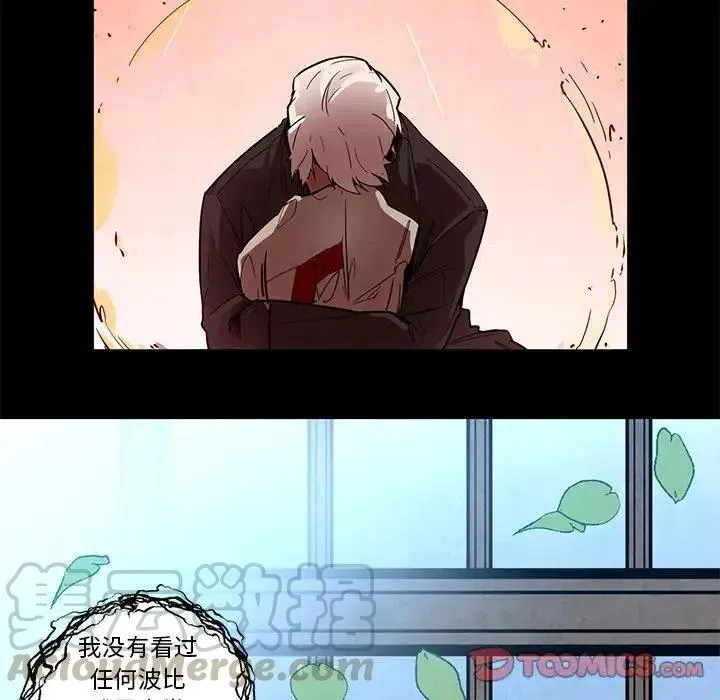 53 第31页