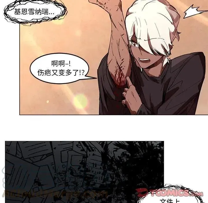 53 第33页