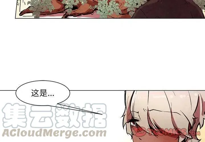 51 第3页