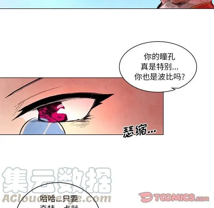 51 第25页