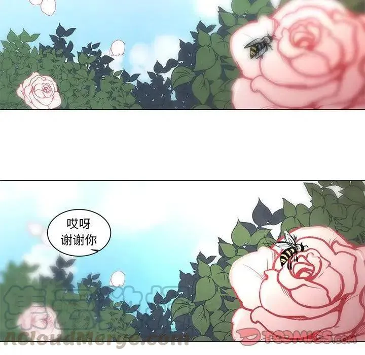51 第35页