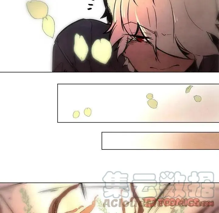 50 第33页
