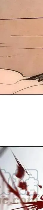 49 第113页