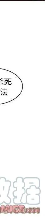48 第45页