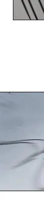 48 第146页