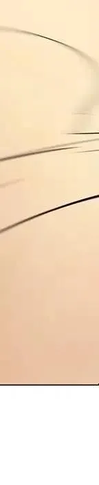 48 第182页