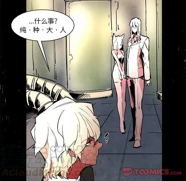 46 第29页
