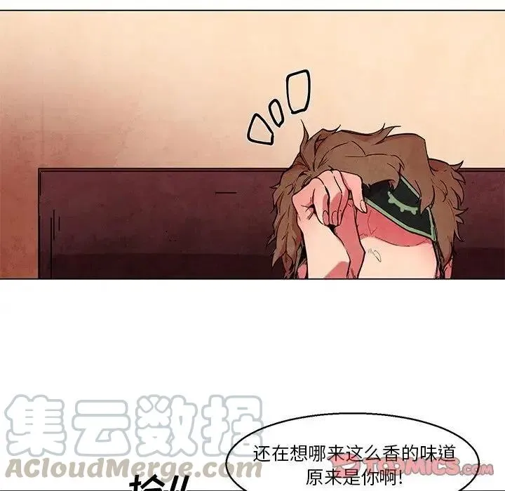 44 第17页