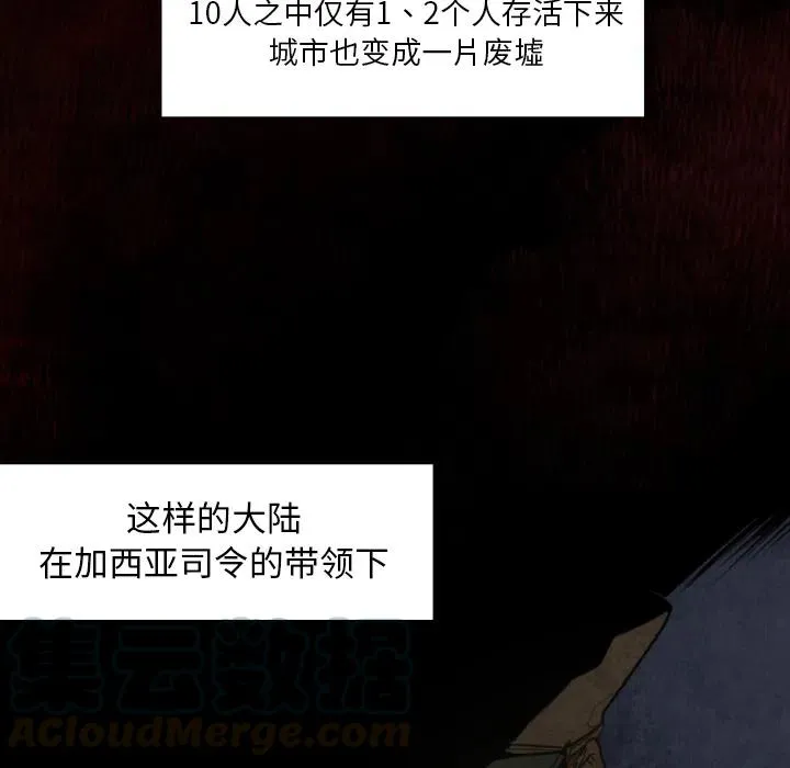 预告篇 第13页