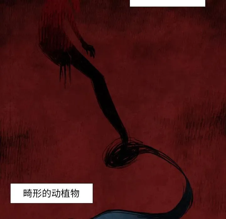 预告篇 第20页