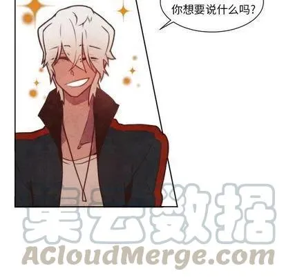 3 第41页