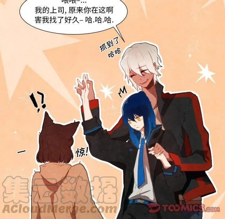 7 第17页
