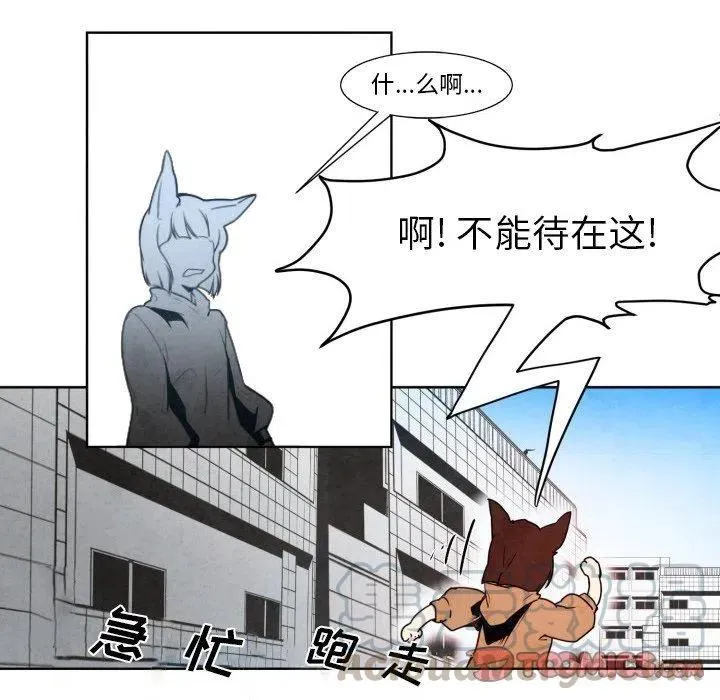 7 第21页