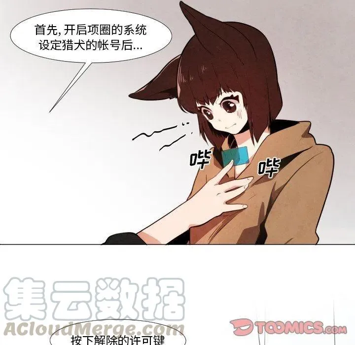 8 第13页