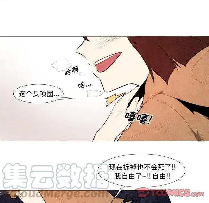 8 第29页