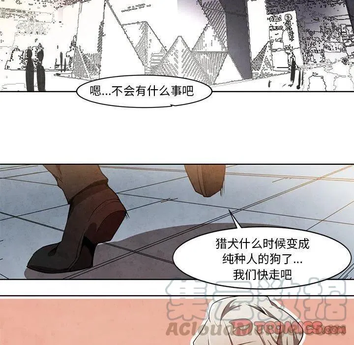 11 第13页