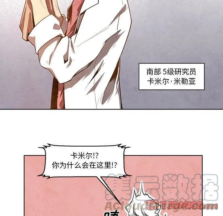 11 第23页