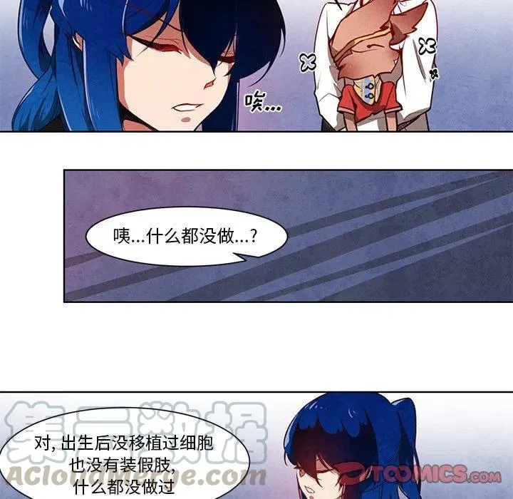 11 第41页