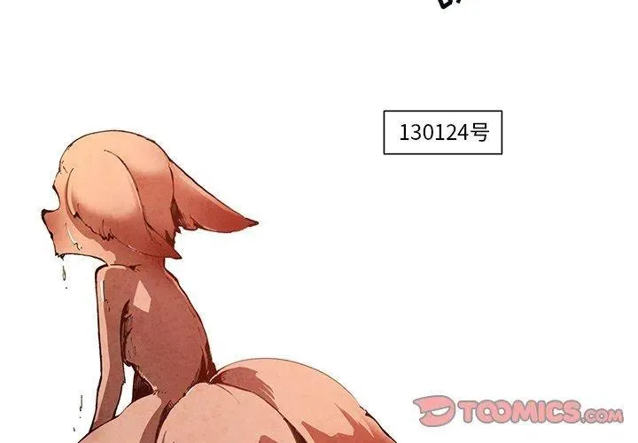 13 第4页