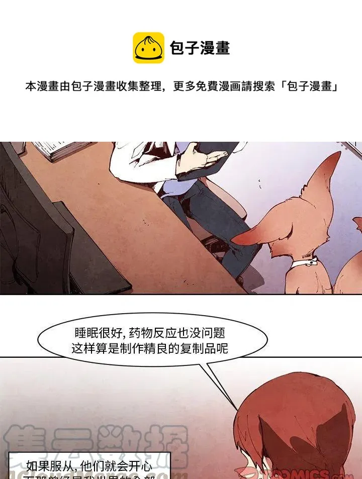 13 第7页