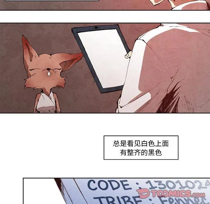 13 第8页