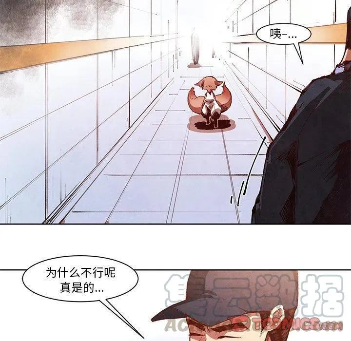 13 第17页