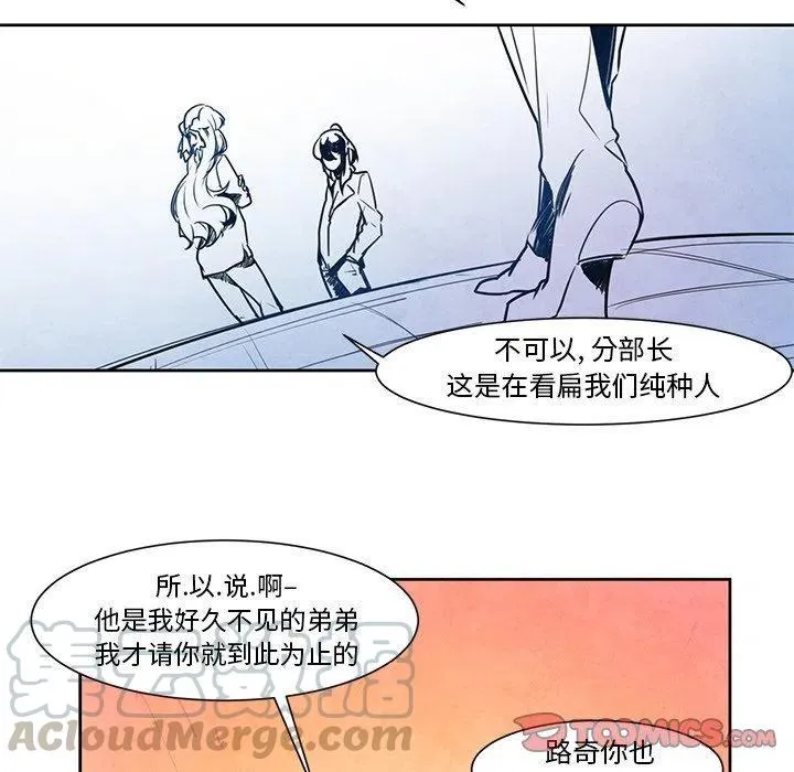 15 第41页