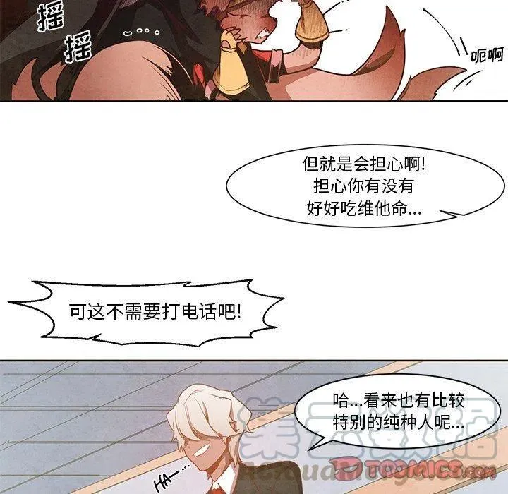 16 第13页