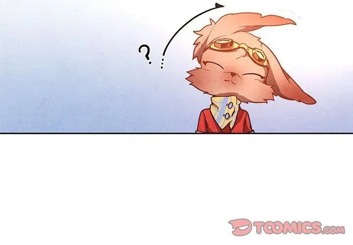 17 第3页