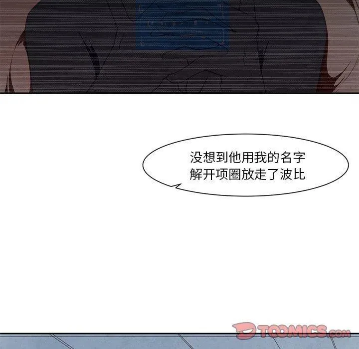 17 第33页