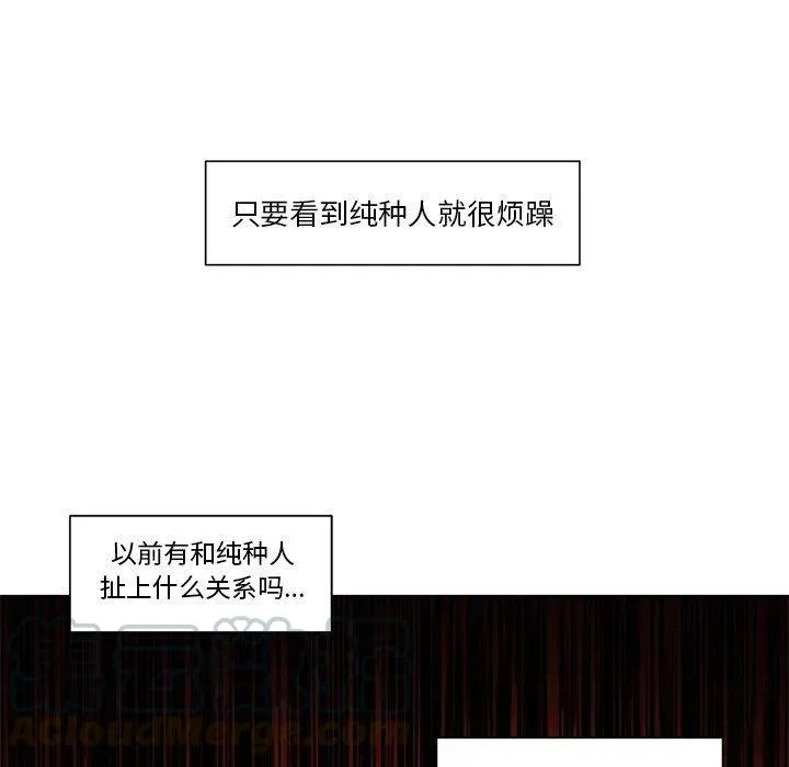 17 第52页