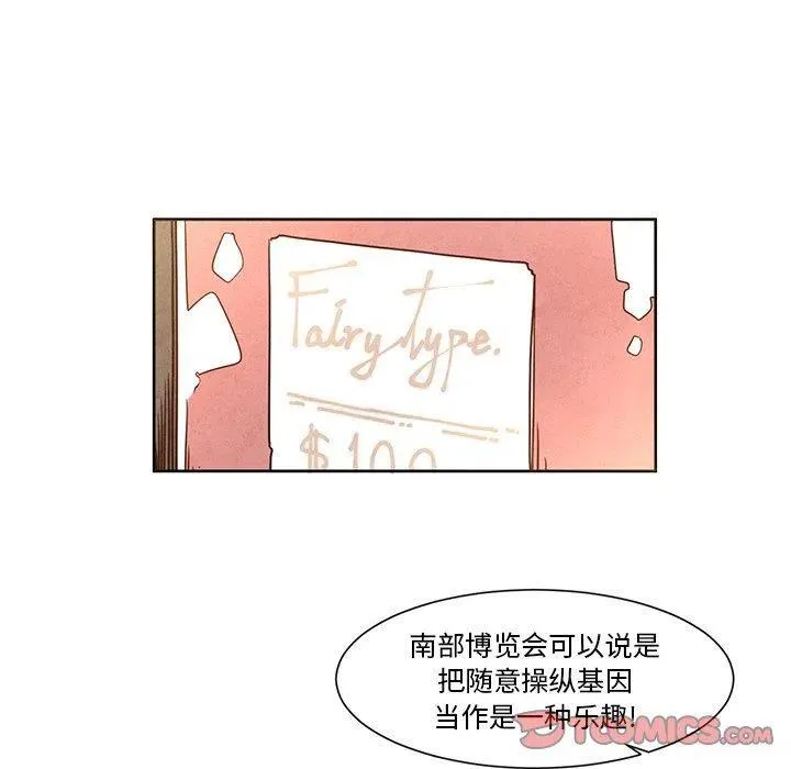 18 第17页