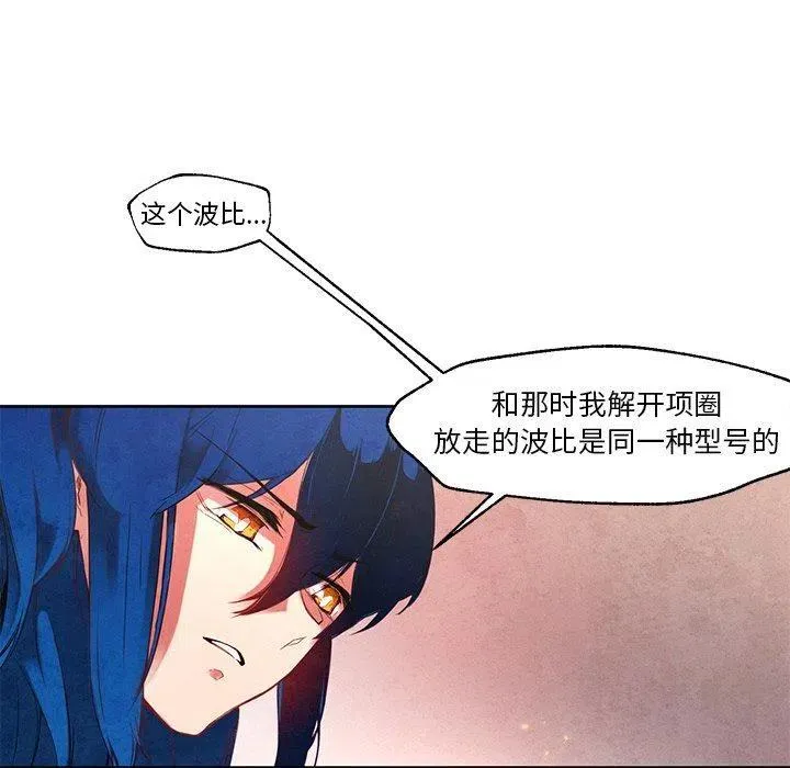19 第32页