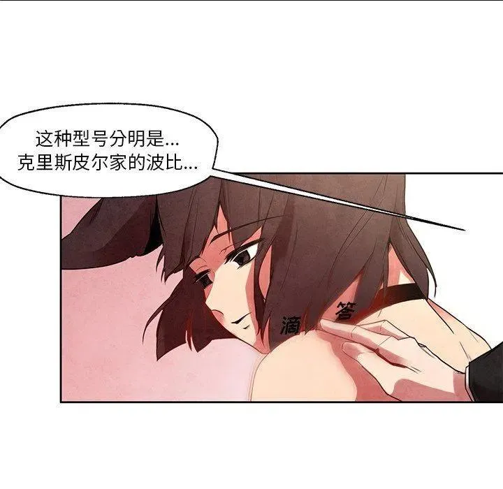 19 第33页