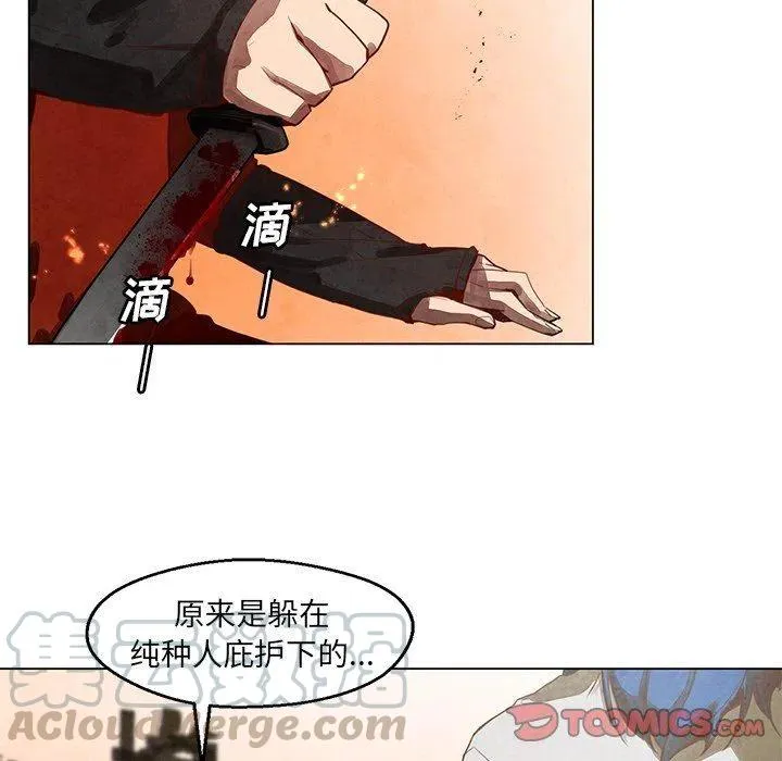26 第25页