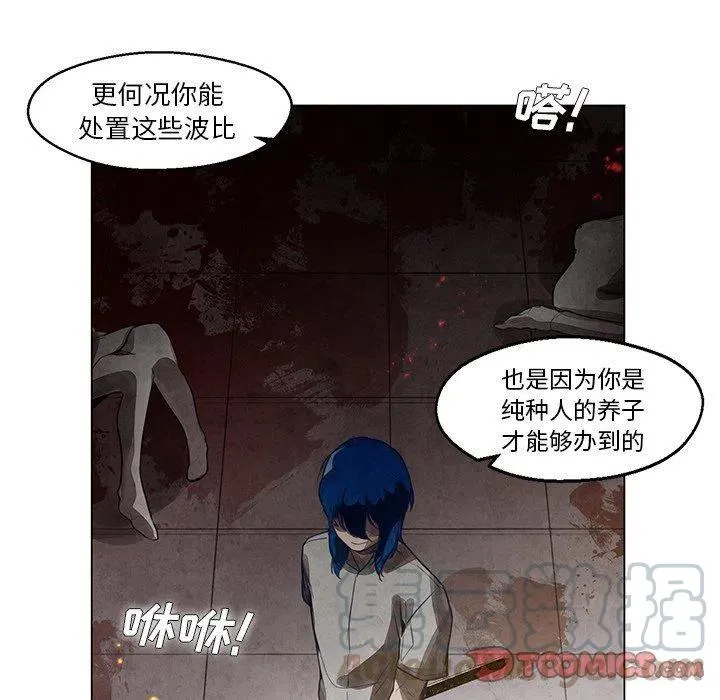 26 第43页