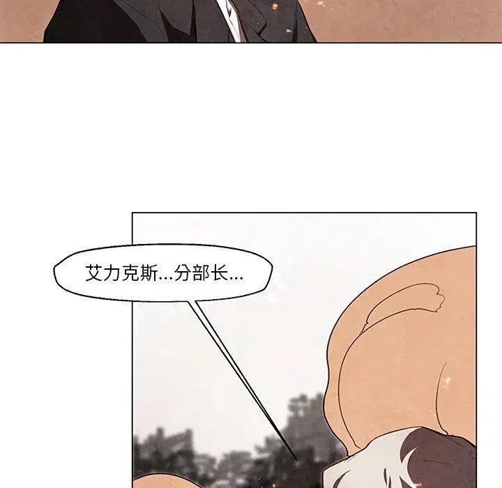 27 第17页