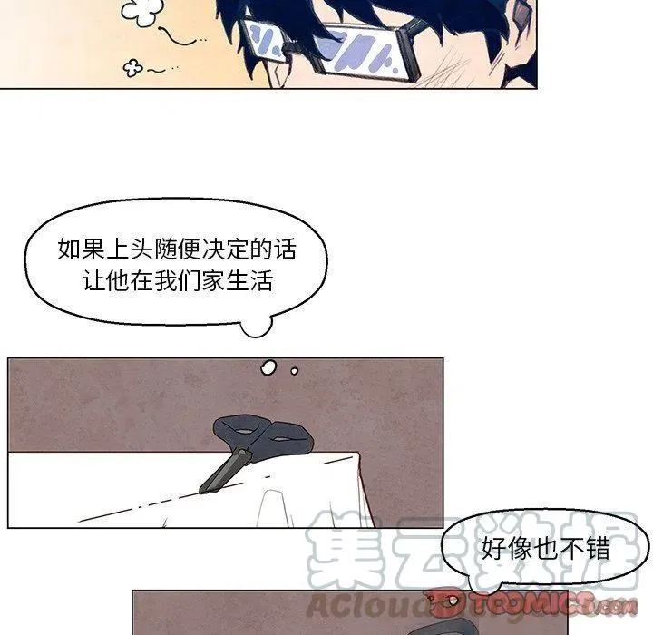 30 第43页