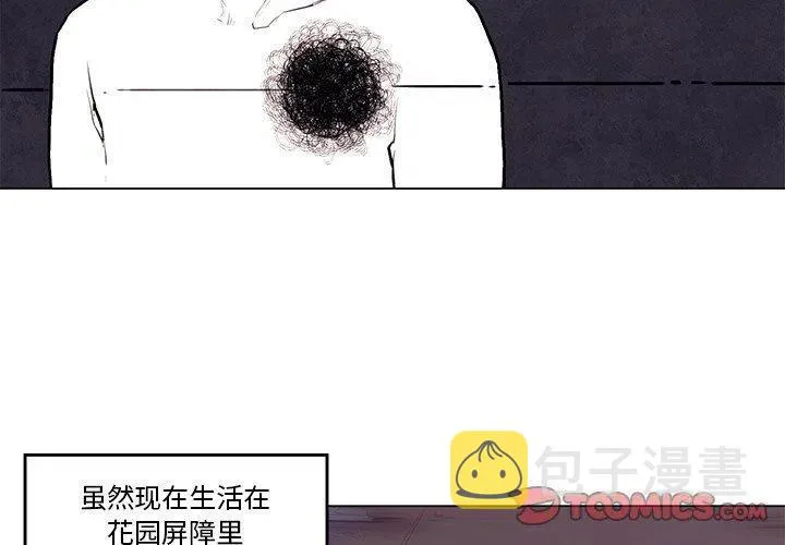 31 第3页